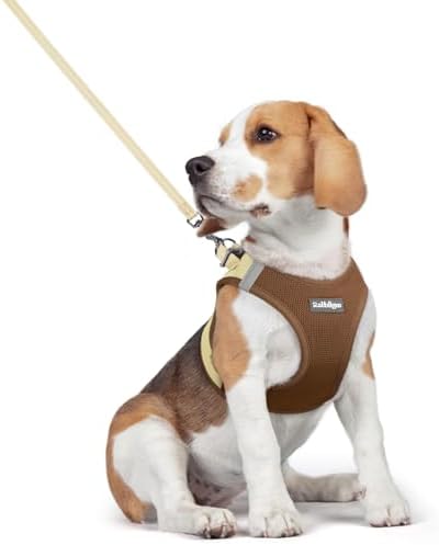rabbitgoo Dog Harness Medium Sized and Leash Set, Step-in Puppy Pet Vest by rabbitgoo