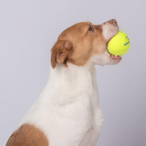Best Pet Supplies Interactive Squeaky Dog Chew Toy, Ideal Dog Toys for Chewers, Small, Medium & Large Dogs, and Fetch Lovers - Tennis (Yellow), Small (Pack of 4) - Image 7