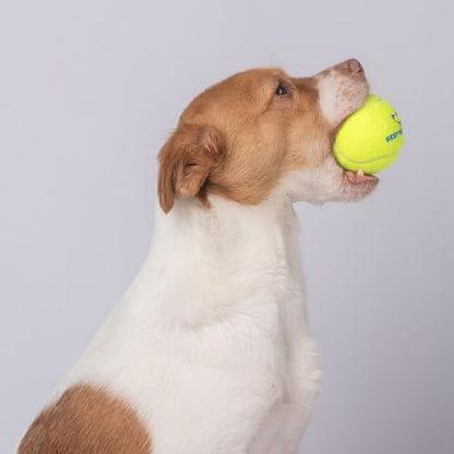 Best Pet Supplies Interactive Squeaky Dog Chew Toy, Ideal Dog Toys for Chewers, Small, Medium & Large Dogs, and Fetch Lovers - Tennis (Yellow), Large (Pack of 4) - Image 7