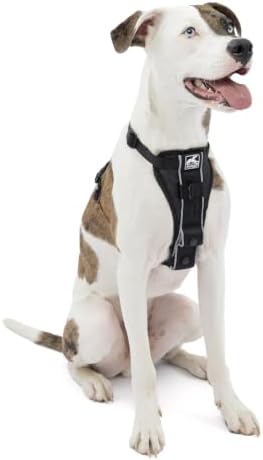 Kurgo Tru-Fit Smart Harness, Black, Medium by Kurgo