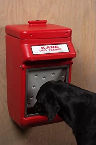 KANE Automatic Dog Feeder