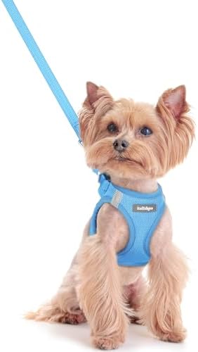 rabbitgoo Dog Harness Small Sized and Leash Set, Step-in Puppy Pet Vest by rabbitgoo