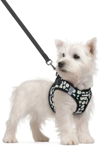 rabbitgoo Dog Harness Small Sized and Leash Set, Step-in Puppy Pet Vest by rabbitgoo