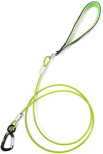 Mighty Paw Dog Leash - Anti Biting Pets Leashes - Chew Proof Metal Cable - Ideal for Large Dogs and Teething Puppies - Braided Cord with Padded Handle - Six Foot - Green by MightyPaw