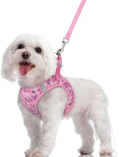 rabbitgoo Dog Harness Medium Sized and Leash Set, Step-in Puppy Pet Vest by rabbitgoo