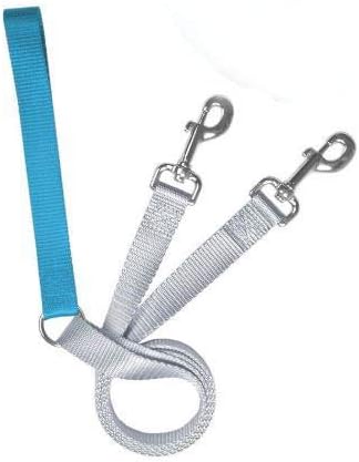 2 Hounds Design Freedom No Pull 1 Inch Training Leash ONLY Works with No Pull Harnesses (Turquoise) by 2HoundsDesign