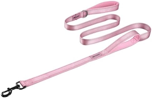 OneTigris No-Pull Dog Leash with Handle for Medium Large Dogs (Pink, 6FT) by OneTigris