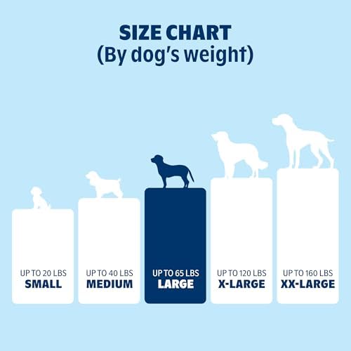 BarkBox Orthopedic Dog Bed - Large - Image 4