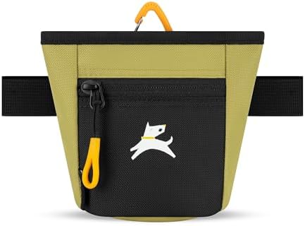 OllyDog, Goodie Treat Bag, Dog Treat Training Pouch | Magnetic Closure | 3 Ways to Wear | Hands-Free Waist Belt | Water-Resistant Recycled Vegan Fabric (Alchemy) by OllyDog