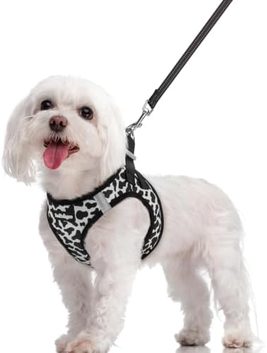 rabbitgoo Dog Harness Medium Sized and Leash Set, Step-in Puppy Pet Vest by rabbitgoo