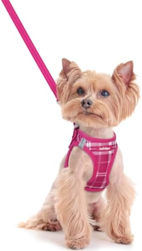 rabbitgoo Dog Harness Small Sized and Leash Set, Step-in Puppy Pet Vest by rabbitgoo