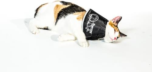All Four Paws Comfy Cone Pet Cone for Dogs, Cats, Small, Tan - Comfortable Soft Dog Cone Collar Alternative for After Surgery, Wound Care, Spay, Neuter - Dog and Cat Recovery Elizabethan-Collar - Image 6