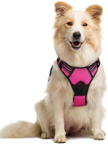 rabbitgoo Dog Harness, No Pull Medium Sized with 2 Leash Clips, Pet Vest by rabbitgoo