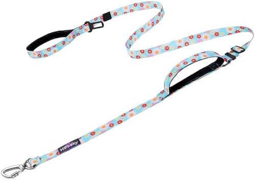 Hotsky Heavy Duty Double Handle No Bungee Dog Leash,Daisy,4.5-6 FT by Hotsky
