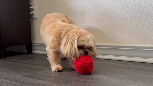 Glory To Dog Puppy/Small Breed Snuffle Dog Puzzle Ball Toy Red with Crinkle - Image 2