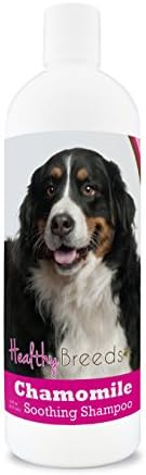 Healthy Breeds Bernese Mountain Dog Chamomile Soothing Dog Shampoo 8 oz by HealthyBreeds
