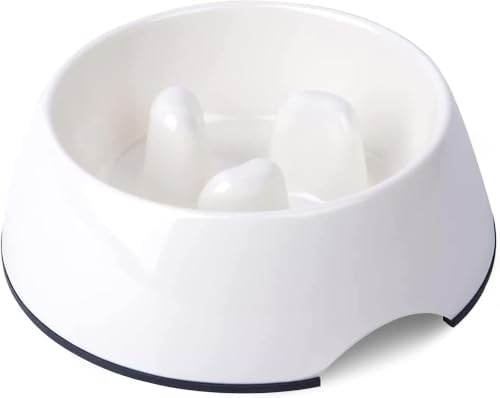 SUPERDESIGN Slow Feeder Dog Bowl Cat Bowl 1/2 Cup Slow Feeding Dog Bowl for Small Medium Breed Anti Gulping Healthy Eating Interactive Bloat Stop Fun Alternative Non Slip Puzzle Dog Food Bowl, White by SUPERDESIGN
