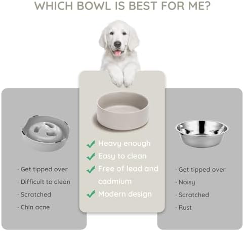 SPUNKYJUNKY 13.5OZ Ceramic Dog and Cat Bowl, Modern Cute Weighted Food Water Bowl for Replacement Grey (2 Pack) - Image 3