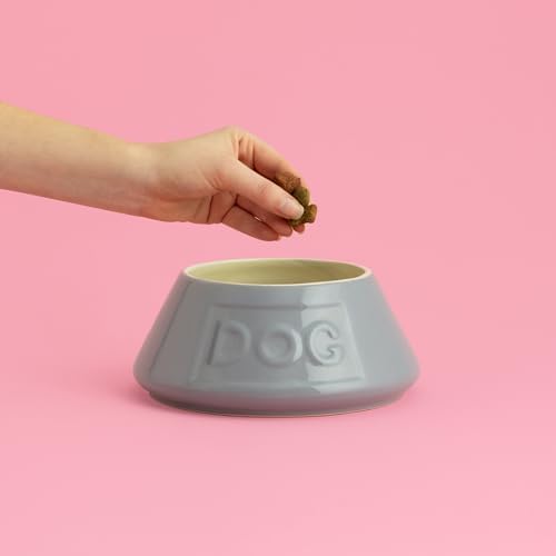 Mason Cash: Non-Tip Dog Bowl - Grey - 8.3", 54oz - Durable Ceramic Food & Water Angled Dish, Microwave-Dishwasher Safe, Pet Meal Feeding & Hydration - Image 2