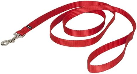 PetSafe Nylon Dog Leash, Red, 3/4 in x 6 ft by PetSafe