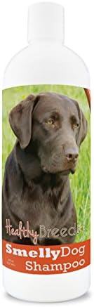 Healthy Breeds Labrador Retriever Smelly Dog Baking Soda Shampoo 8 oz by HealthyBreeds