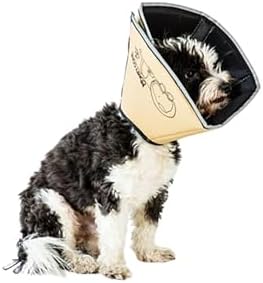 All Four Paws Comfy Cone Pet Cone for Dogs, Cats, Large, Tan - Comfortable Soft Dog Cone Collar Alternative for After Surgery, Wound Care, Spay, Neuter - Dog and Cat Recovery Elizabethan-Collar by AllFourPaws