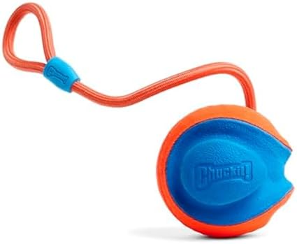 Chuckit! Rope Fetch Dog Toy, Ball on Rope, Durable EVA Rubber, 5.5-in by Chuckit