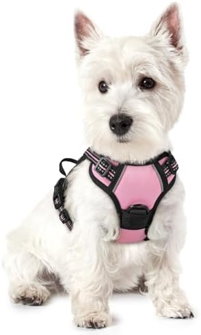 rabbitgoo Dog Harness No Pull with 2 Leash Clips, Adjustable Soft Padded, Reflective Oxford No Choke Pet Vest with Easy Control Handle for Puppy, Pink, XS by rabbitgoo
