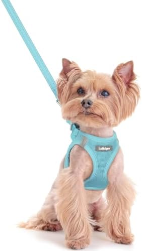 rabbitgoo Dog Harness Small Sized and Leash Set, Step-in Puppy Pet Vest by rabbitgoo