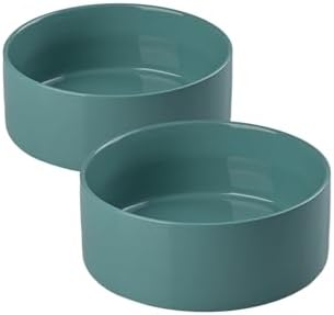 SPUNKYJUNKY 13.5OZ Ceramic Dog and Cat Bowl, Modern Cute Weighted Food Water Bowl for Replacement Light Green (2 Pack) by SPUNKYJUNKY