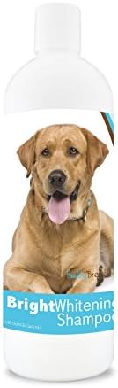 Healthy Breeds Labrador Retriever Bright Whitening Shampoo 12 oz by HealthyBreeds