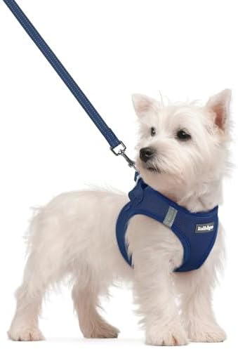 rabbitgoo Dog Harness Small Sized and Leash Set, Step-in Puppy Pet Vest by rabbitgoo