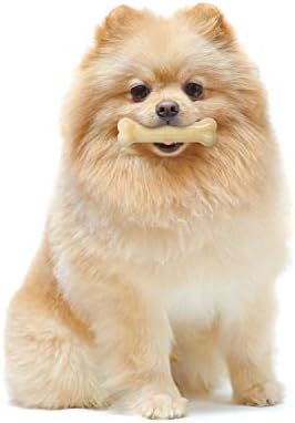 Nylabone Power Chew Original Bone Dog Chew Toy, Original Flavor, X-Small - Image 2