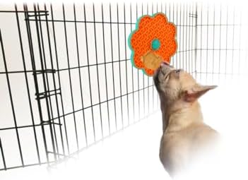 2 in 1 Lick Mat for Crate Training, Dog Slow Feeder Anxiety Relief Enrichment Pad with Suction Cups, Dishwasher Safe, BPA-Free Silicone for Small & Medium Dogs, 1 Pack - Image 2