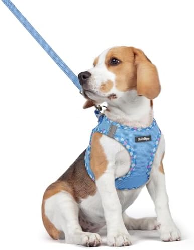 rabbitgoo Dog Harness Medium Sized and Leash Set, Step-in Puppy Pet Vest by rabbitgoo