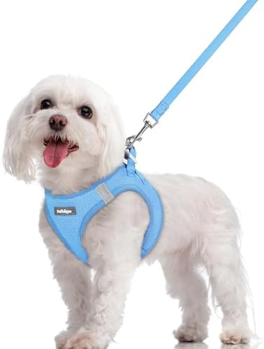 rabbitgoo Dog Harness Medium Sized and Leash Set, Step-in Puppy Pet Vest by rabbitgoo