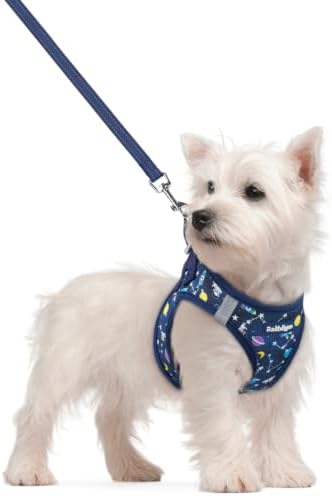 rabbitgoo Dog Harness Small Sized and Leash Set, Step-in Puppy Pet Vest by rabbitgoo