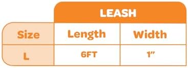 Best Pet Supplies Voyager Nylon Dog Leash - 6ft Baby Blue, Large - Image 4