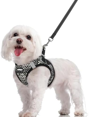 rabbitgoo Dog Harness Medium Sized and Leash Set, Step-in Puppy Pet Vest by rabbitgoo