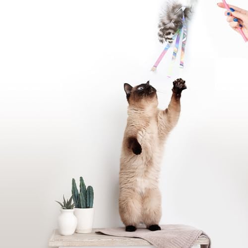 Cat Insect Feather Toys Replacement Cat Toy Wand Refills, 6 Pieces Natural Insect Cat Toy Feathers Refill, Interactive Cat Teaser Wand Attachments, with Bell - Image 6