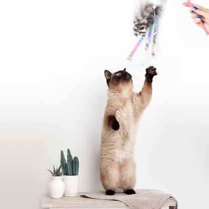 Cat Insect Feather Toys Replacement Cat Toy Wand Refills, 6 Pieces Natural Insect Cat Toy Feathers Refill, Interactive Cat Teaser Wand Attachments, with Bell - Image 6