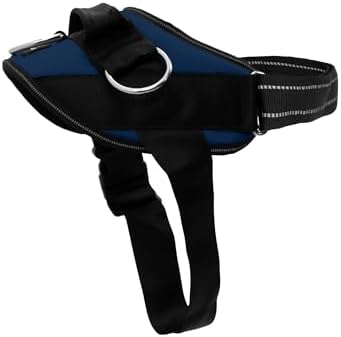 ShawnCo Essential Dog Harness, No-Pull Pet Vest (Pacific Blue,XS) by SHAWNCO