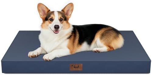 Outdoor Waterproof Orthopedic Dog Bed for Large Dogs by TailStories