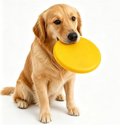 Flying Disc Dog Toy, Interactive Dog Toys - Soft Frisbee for Dogs, Durable Dog Frisbee for Outdoor Play, Visible Color Toys for Active Dogs - Image 6