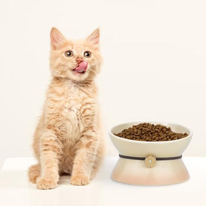 Cat Bowl Elevated Cat Bowls Whisker Friendly Cute Ceramic Tilted Food Bowls for Indoor Cats 6.1 Inch Wide 15° Raised Kitten Supplies Dishwasher and Microwave Safe Yellow Cats Water Bowl - Image 6