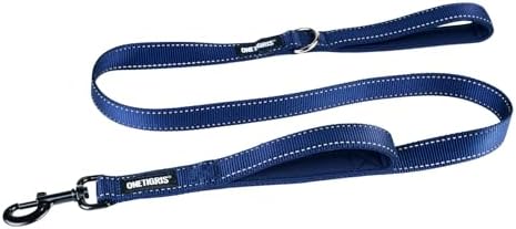 OneTigris No-Pull Dog Leash with Handle for Medium Large Dogs(Blue, 4FT) by OneTigris