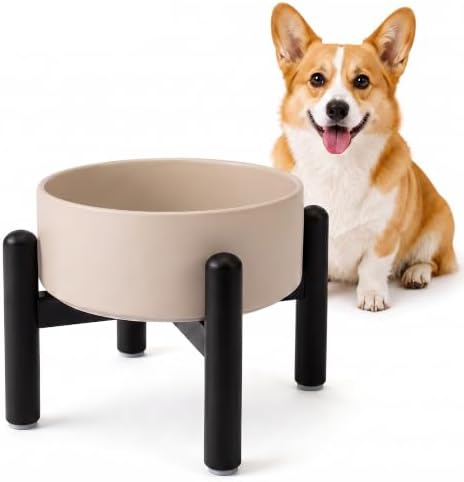 Raised Ceramic Dog Bowl Set with Stand, 2 Cups Elevated Dog Food Stand by PTOBER