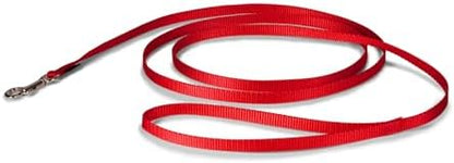 PetSafe Nylon Dog Leash - Strong, Durable, Traditional Style Leash with Easy to Use Bolt Snap - 3/8 in. x 6 ft., Red by PetSafe