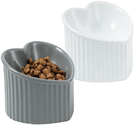 5.5 in Ceramic Raised Tilted Cat Food Bowls 2 Pack by FIVEAGE