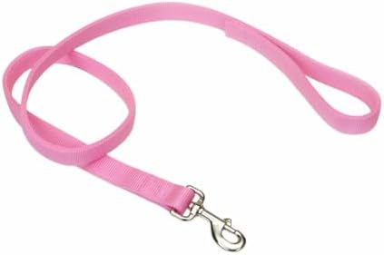 Coastal Pet Double-Ply Dog Leash - Bolt Snap Attachment to Collars and Harnesses - Nylon Dog Walking Leash for Small, Medium and Large Dogs - Pink Bright - 1" x 6' by CoastalPet